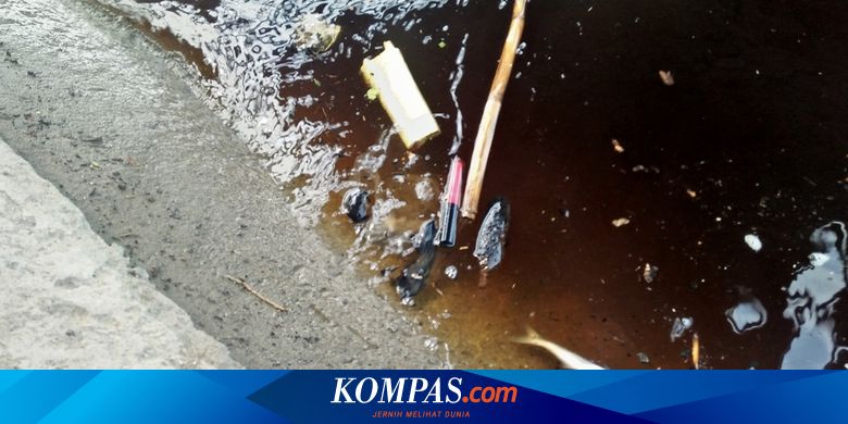 4 Fakta Pencemaran Bengawan Solo Ikan Mati Hingga Pemerintah Dan Polisi Turun Tangan Halaman All Kompas Com