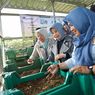 Praktik Baik Rumah Maggot, dari Sampah Jadi Penggerak Ekonomi Sirkular 