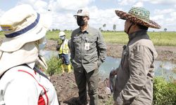 Dirjen PSP Kementan: Food Estate Jadi Benteng Ketahananan Pangan Nasional