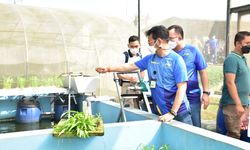 Gandeng IPB, Dua Kementerian Siap Tingkatkan Produksi Pangan Nasional