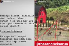 Viral, Video Kuda Dipukuli di Tempat Wisata