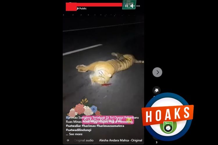 Tangkapan layar Facebook, narasi yang mengeklaim seekor harimau mati tertabrak kendaraan di jalan tol Pekanbaru-Dumai
