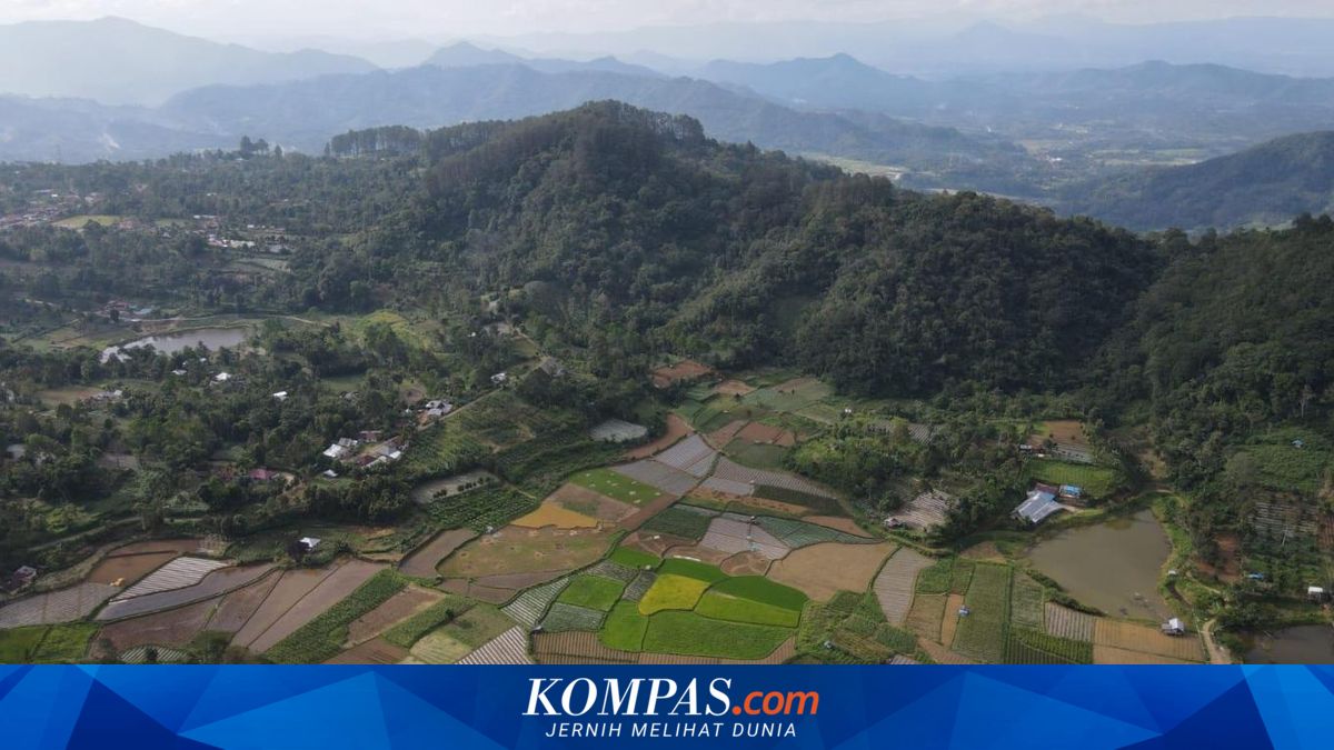 Desa Wisata Tabek Patah: Sejarah dan Daya Tarik