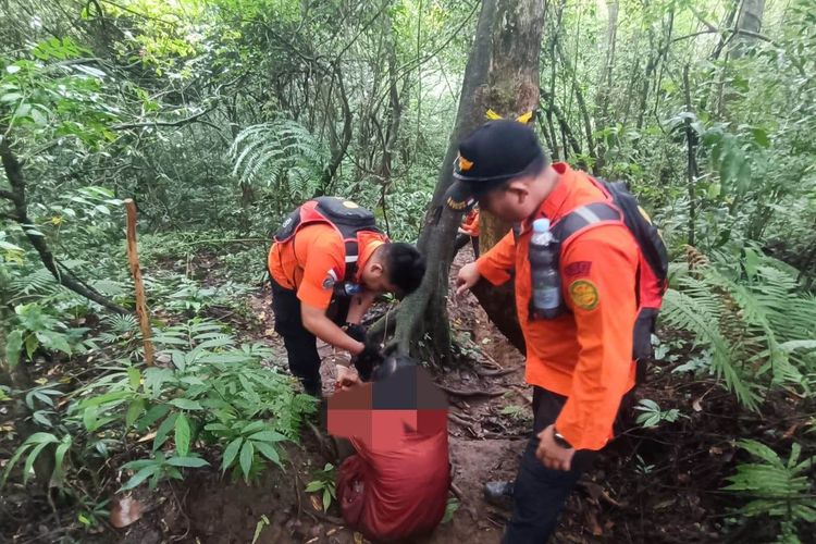 Tim SAR gabungan mengevakuasi empat pendaki yang mengalami cidera saat mendaki dari Gunung Batukaru, Kabupaten Tabanan, Bali, pada Jumat (31/10/2025) pagi.