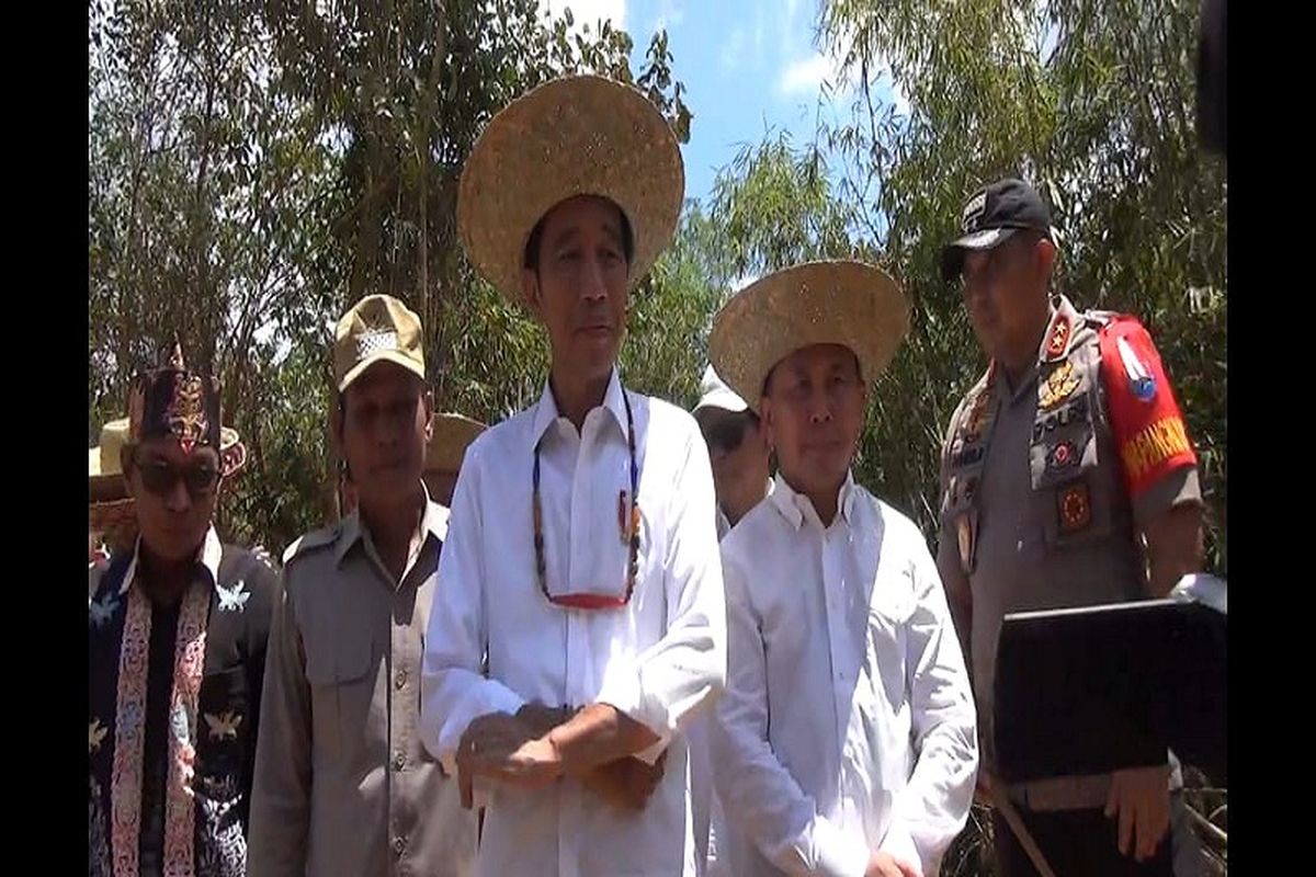 Presiden Joko Widodo saat kenakan Kalung Lilis Lamiang dan Tanggui Purun di titik calon lokasi Ibu Kota baru