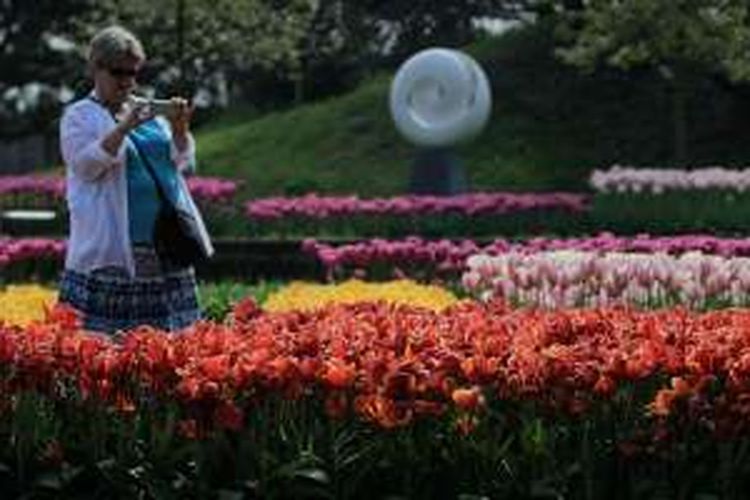 Suasana di Taman Bunga Tulip Keukenhof di Lisse, Belanda, Rabu (11/5/2016). Taman seluas 32 hektar ini menyimpan 7 juta jenis bunga dan tahun ini taman ini dibuka pada periode 24 Maret - 16 Mei 2016.
