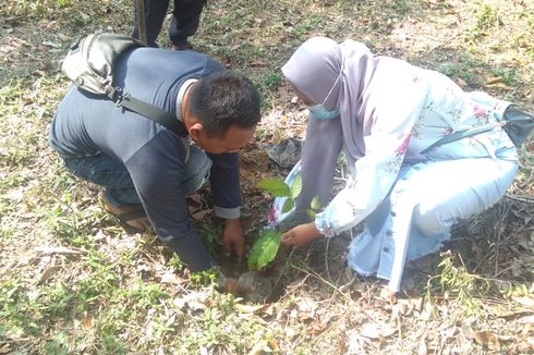 Pohon Pengantin Sejuta Cinta, Bangun Kesadaran Soal Krisis Iklim dan Kerusakan Lingkungan