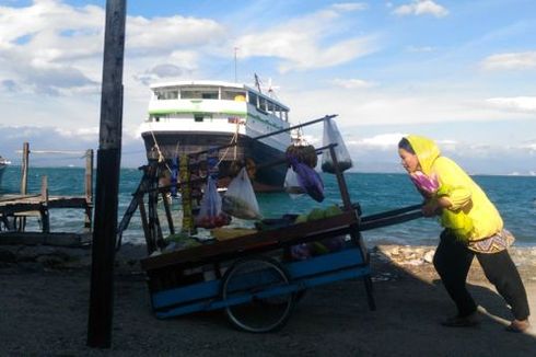 Kisah Penjual Sayur Korban KDRT, Keliling Pulau Kampanyekan Risiko Pernikahan Anak