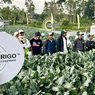 Ekosistem Pertanian Centrigo Dukung Kebutuhan Petani dari Hulu hingga Hilir