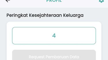 Bagaimana Desil DTSEN Ditentukan? Ini Indikator yang Jadi Pertimbangan