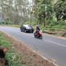 Pohon Tumbang di Lembang, Pemotor Asal Karawang Tewas di Tempat