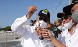 Optimalkan Hasil Panen Udang, KKP akan Buat Standarisasi Pengelolaan Tambak Super-Insentif