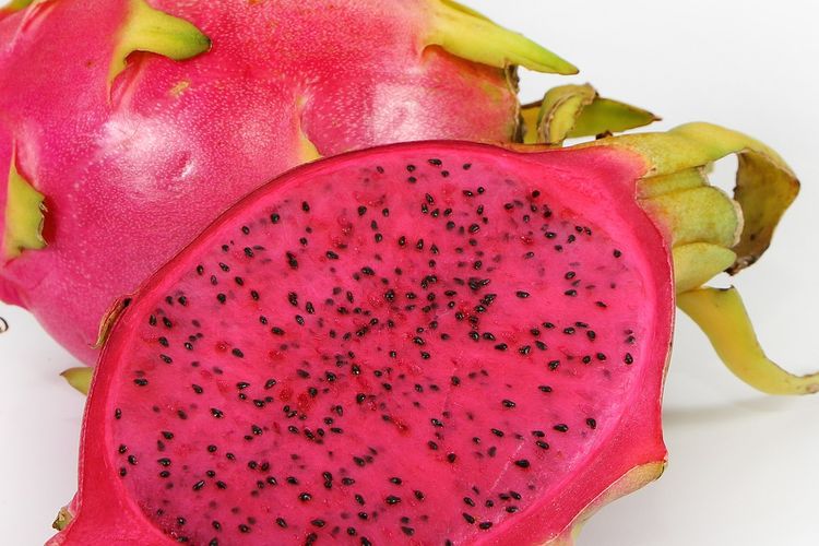 Ilustrasi buah naga merah. 