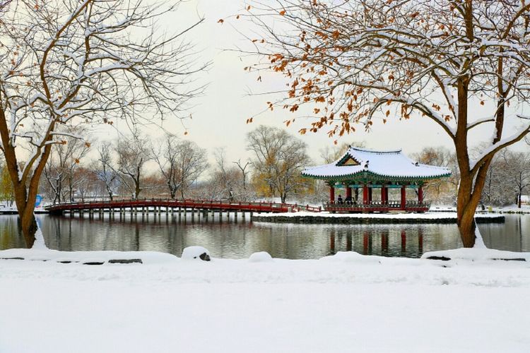 Tempat wisata di Korea Selatan bernama Gungnamji Pond di Seodong Park, Buyeo, Chungcheongnam (dok. https://www.buyeo.go.kr/).