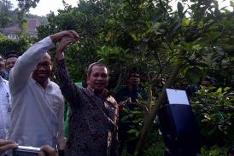 Menteri Desa PDT Marwan Jafar, saat petik jeruk di desa wisata petik jeruk, di Desa Selorejo, Kecamatan Dau, Kabupaten Malang, Jawa Timur, Jumat (27/3/2015). 