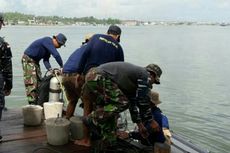 TNI AL Musnahkan Ranjau Sisa Perang di Teluk Kendari