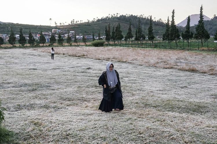 Wisatawan menikmati embun beku yang muncul akibat penurunan suhu hingga minus tujuh derajat celcius di kompleks Candi Arjuna, di dataran tinggi Dieng, Banjarnegara, Jawa Tengah, Selasa (25/6/2019). Embun beku yang muncul akibat penurunan suhu ekstrem hingga di bawah nol derajat celcius, telah terjadi sebanyak sepuluh kali sejak pertengahan Mei, dan menjadi daya tarik bagi wisatawan.