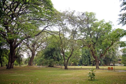 Pasangan Ini Berhubungan Seks di Taman Umum, Tak Peduli meski Ada Anak-anak