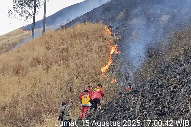 Petugas gabungan saat memadamkan api di kawasan hutan Danau Toba di Desa Tongging, Kecamatan Merek, Kabupaten Karo, Sumatera Utara, Jumat  (15/8/2025)