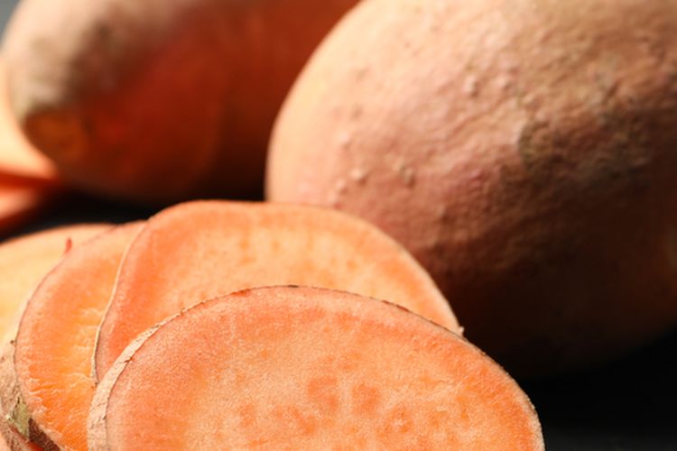 Ilustrasi ubi jalar, umbi cilembu atau ubi madu