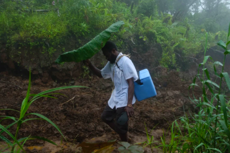 Seorang petugas kesehatan, dari Rumah Sakit Mini Melsisi, trekking melintasi pegunungan Pulau Pentakosta untuk mengirimkan pesanan vaksin ke Apotik Tsingbwege yang terpencil pada tahun 2018
