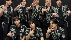 Nama Stray Kids Kini Dicatat sebagai Nama Fosil Serangga Purba