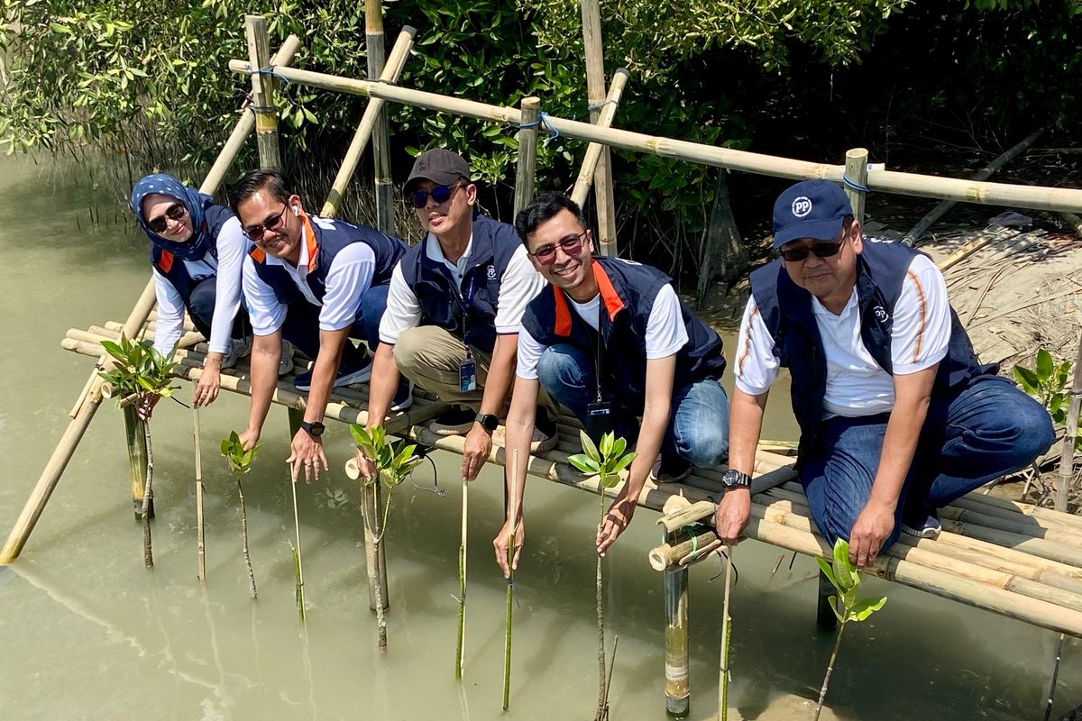 Perum Perumnas bersama PT PP (Persero) Tbk berkolaborasi dalam konservasi alam dengan melakukan penanaman 70.000 bibit pohon mangrove di lahan seluas 3,5 hektar. Ini sekaligus pengembangan mitra binaan UMKM di Desa Timbulsloko, Kecamatan Sayung, Kabupaten Demak.