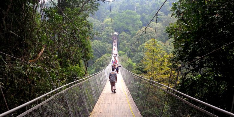 Wisata Ke Gunung Pangrango Bukan Hanya Pendakian Ini Pilihannya Halaman All Kompas Com