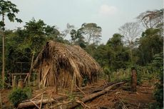 Perdagangan Narkoba Ancam Eksistensi Suku Terasing Amazon di Peru