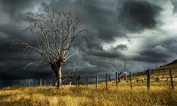 BMKG Prediksi Cuaca Ekstrem Landa Sejumlah Daerah Sepekan ke Depan