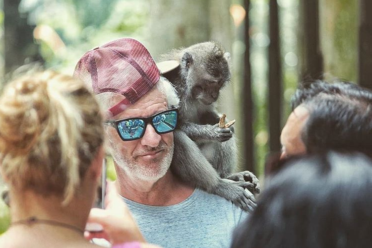 Two monkey forests in Bali have reopened in time for the year-end holiday where travelers are expected to boost Indonesia?s tourism sector.