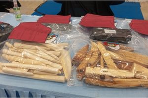 Polda Riau Tangkap 15 Pembunuh Gajah, Gading Dijual hingga ke Jawa Tengah untuk Pipa Rokok