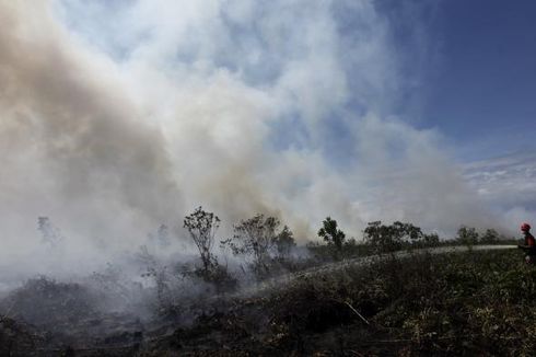 Titik Api Terlihat di Hutan Sumatera dan Kalimantan Tengah