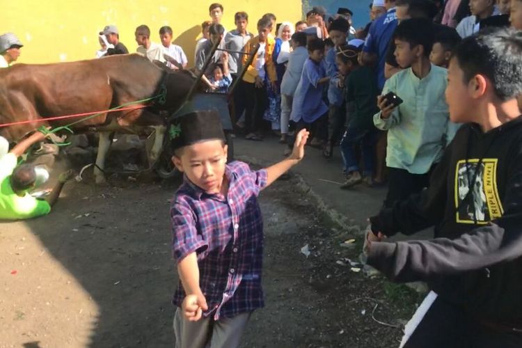 Warga di Kabupaten Cianjur, Jawa Barat, tunggang langgang menyelamatkan diri dari amukan seekor sapi kurban, Minggu (10/7/2022)