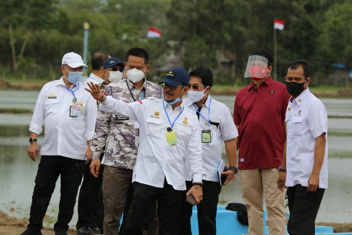 Menteri Pertanian (Mentan) saat Syahrul Yasin Limpo melakukan kunjungan kerja.