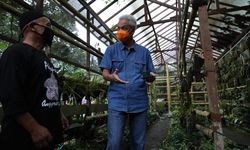 Peduli Spesies Endemik Merapi, Pria Ini Buka Kelas Adopsi Anggrek di Hutan