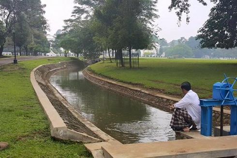 Bersarung dan Berkemeja Putih, Jokowi Asyik Kasih Makan Ikan di Istana