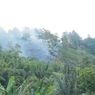 Dalam 8 Bulan, 70 Hektar Hutan Lindung di DTA Danau Toba Simalungun Terbakar
