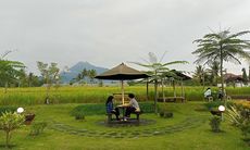 5 Kafe di Yogyakarta dengan View Bagus