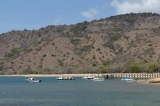 Kebakaran Landa 10 Hektar Padang Rumput di Pulau Komodo