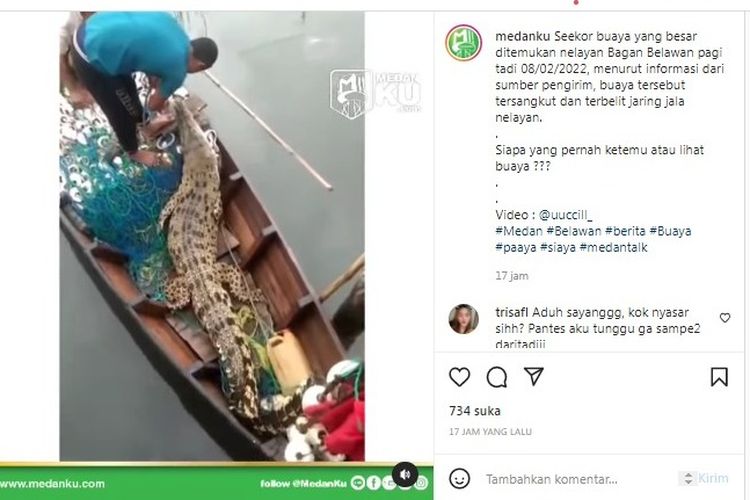Tangkapan layar dari unggahan Instagram @medanku memperlihatkan buaya di atas perahu nelayan di Belawan akibat tersangkut jaring.