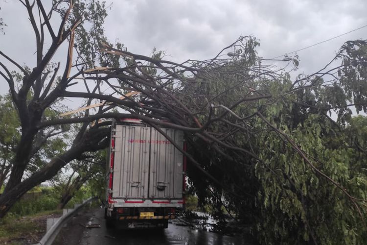Hujan deras bercampur angin kencang di Gresik juga merobohkan pohon dan tiang listrik, yang sempat menimpa beberapa kendaraan, Senin (21/2/2022).