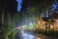 Rute ke Wisata Siti Sundari Lumajang, Tempat Makan Romantis di Tengah Hutan