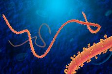 Mengenal Sejarah Virus Ebola