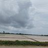 2.118 Hektar Sawah di Karawang Terendam Banjir, Kerugian Capai Rp 16 Miliar
