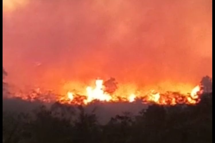 Tangkap layar dari video warga yang tersebar di media sosial. BTNGC mengonfirmasi kebakaran terjadi di Kecamatan Pasawahan Kabupaten Kuningan Jawa Barat, Minggu (25/9/2022).