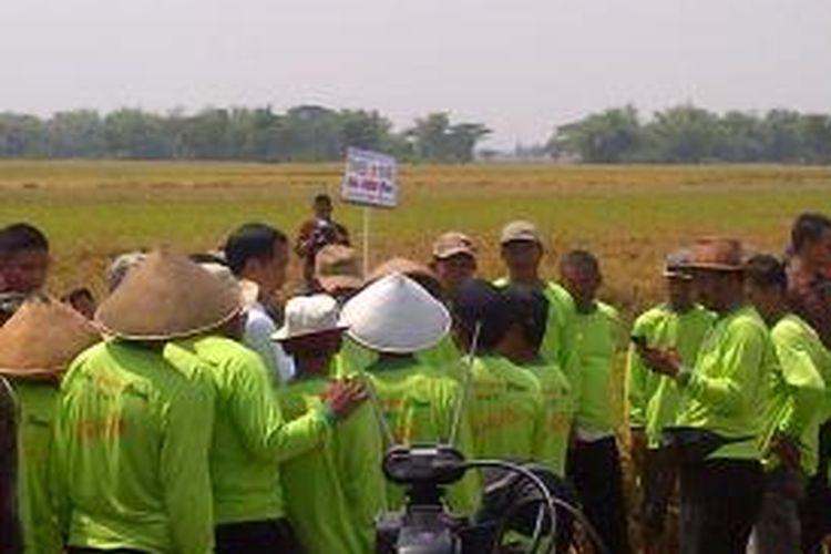 Joko Widodo menemui petani di Sukoharjo, Sabtu (3/10/2015).