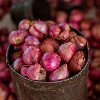 Ilustrasi bawang merah.