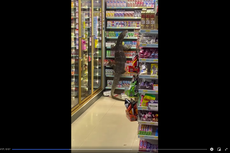 Video Viral Seekor Biawak Memanjat Rak di Minimarket, Begini Ceritanya