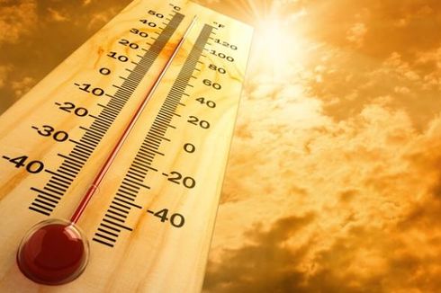 Suhu Panas di Belanda, Belgia, dan Jerman Lewati 40 Derajat Celsius